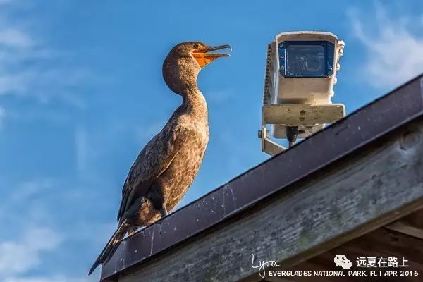 美国加州旅游 攻略_加州攻略旅游美国免签吗_美国加州旅游景点推荐