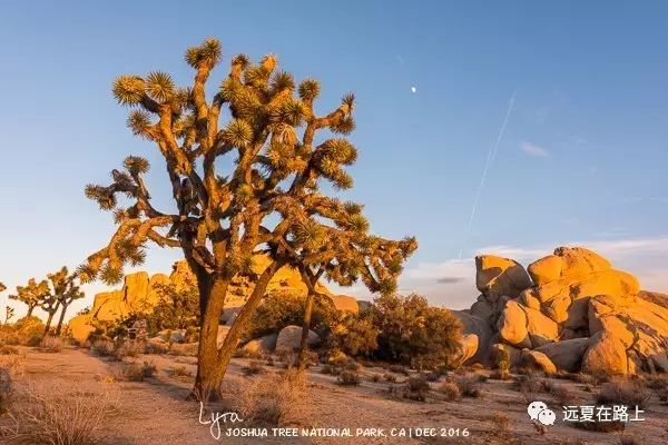 美国加州旅游 攻略_加州攻略旅游美国免签吗_美国加州旅游景点推荐