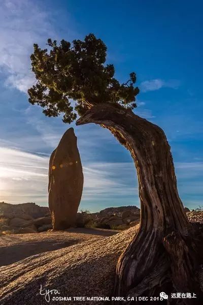 美国加州旅游景点推荐_加州攻略旅游美国免签吗_美国加州旅游 攻略