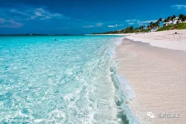 加州攻略旅游美国免签吗_美国加州旅游 攻略_美国加州旅游景点推荐