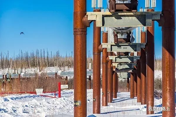 美国加州旅游 攻略_美国加州旅游景点推荐_加州攻略旅游美国免签吗