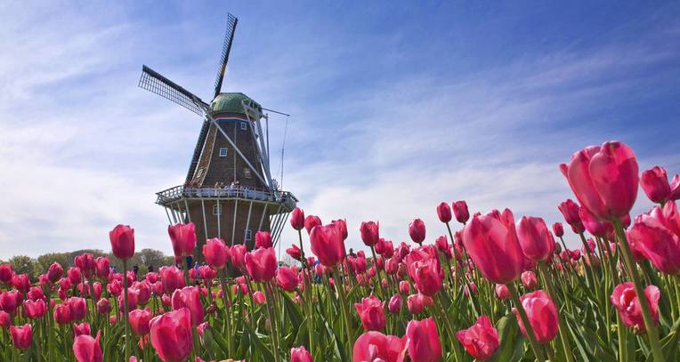 荷兰哈勒姆旅游攻略_荷兰北荷兰省哈勒梅尔米尔_荷兰攻略旅游哈勒姆怎么样