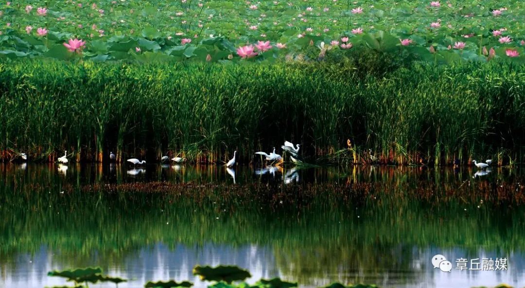 章丘市朱家峪旅游攻略_章丘古村落朱家峪_山东章丘朱家峪风景区