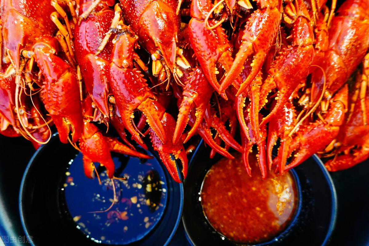 长沙张家界凤凰旅游攻略_张家界凤凰旅游游记攻略_张家界凤凰旅游攻略网