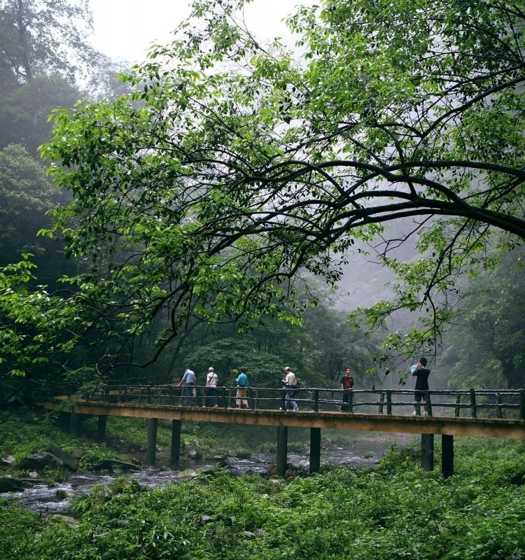 张家界凤凰旅游攻略网_张家界凤凰旅游游记攻略_长沙张家界凤凰旅游攻略