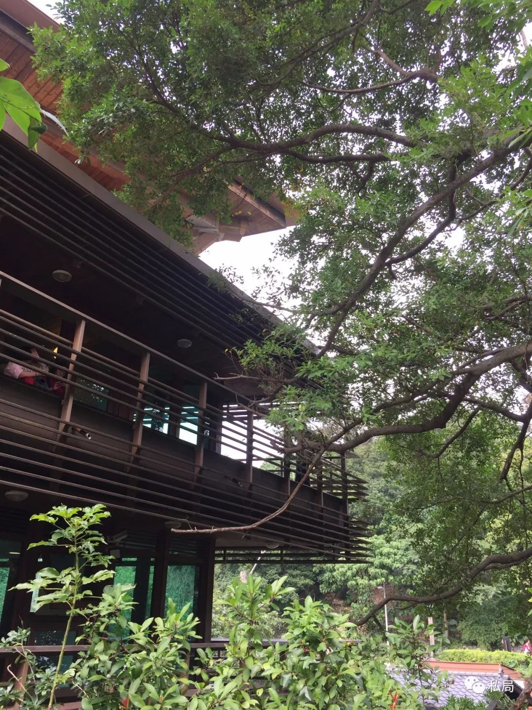 台北阳明山一日游_台北阳明山旅游攻略_台北阳明山温泉酒店