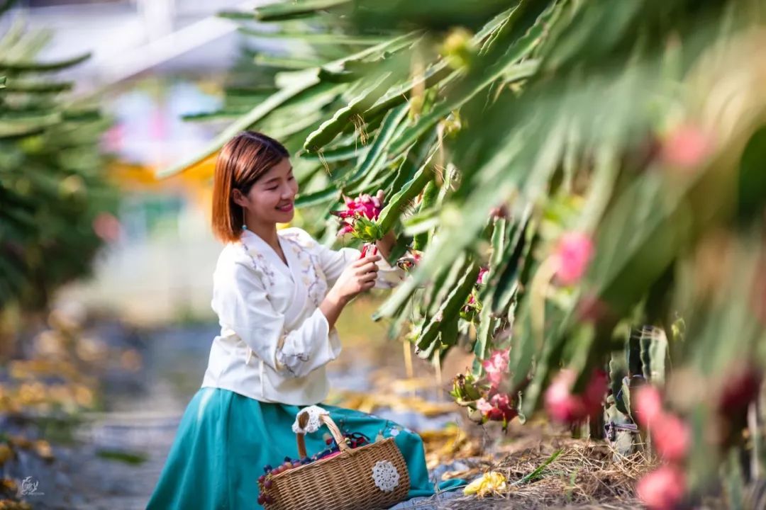 长泰游玩攻略_攻略旅游长泰的路线_长泰旅游攻略