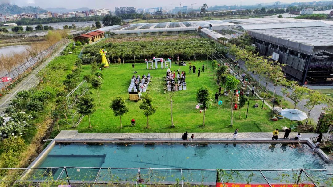 长泰游玩攻略_攻略旅游长泰的路线_长泰旅游攻略