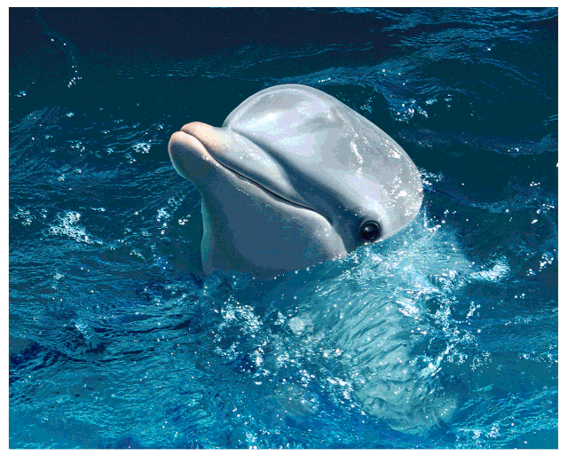 长泰游玩攻略_长泰旅游攻略_攻略旅游长泰的路线