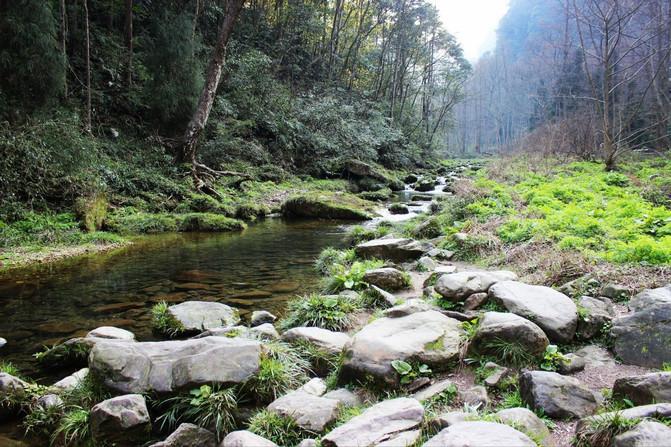 张家界凤凰旅游攻略网_长沙张家界凤凰旅游攻略_长沙张家界凤凰