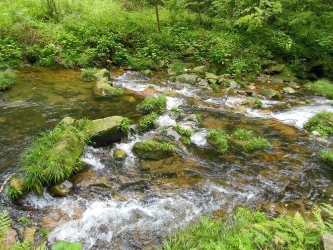 长沙张家界凤凰_张家界凤凰旅游攻略网_长沙张家界凤凰旅游攻略