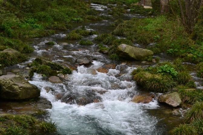 长沙张家界凤凰_长沙张家界凤凰旅游攻略_张家界凤凰旅游攻略网
