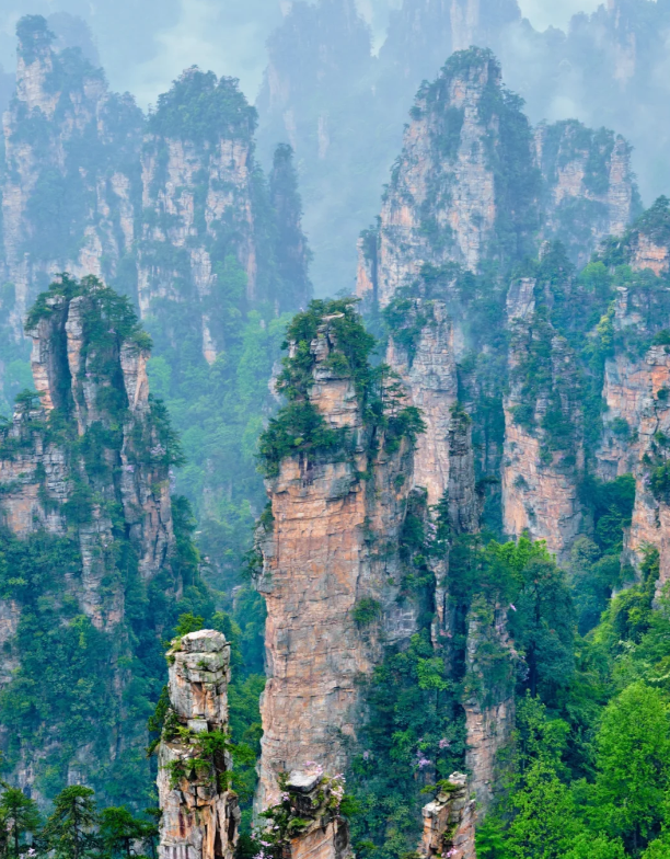 张家界凤凰旅游攻略网_张家界凤凰旅游游记攻略_长沙张家界凤凰旅游攻略