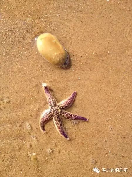 大连瓜皮岛两日游多少钱_大连瓜皮岛旅游攻略_大连瓜皮岛好玩吗