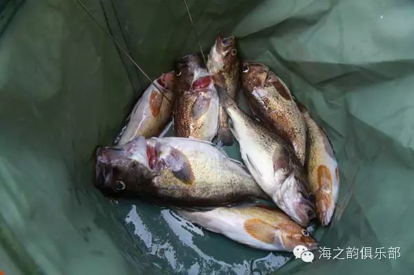 大连瓜皮岛旅游攻略_大连瓜皮岛两日游多少钱_大连瓜皮岛好玩吗