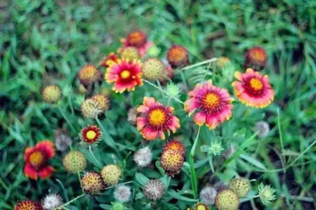 大连瓜皮岛潮汐表_大连瓜皮岛旅游攻略_大连瓜皮岛好玩吗