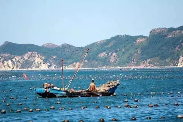 大连瓜皮岛好玩吗_大连瓜皮岛旅游攻略_大连瓜皮岛潮汐表