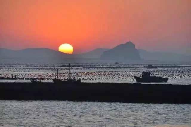 大连瓜皮岛好玩吗_大连瓜皮岛潮汐表_大连瓜皮岛旅游攻略