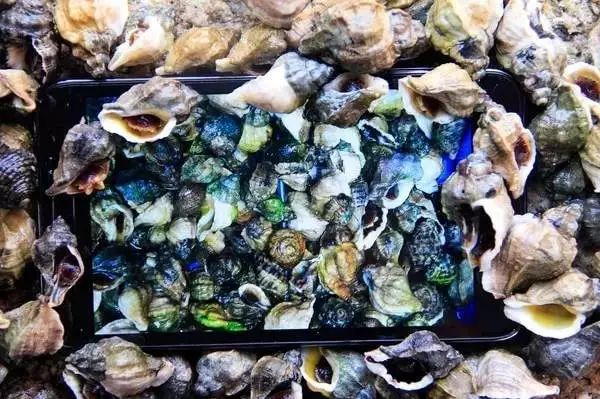 大连瓜皮岛旅游攻略_大连瓜皮岛潮汐表_大连瓜皮岛好玩吗