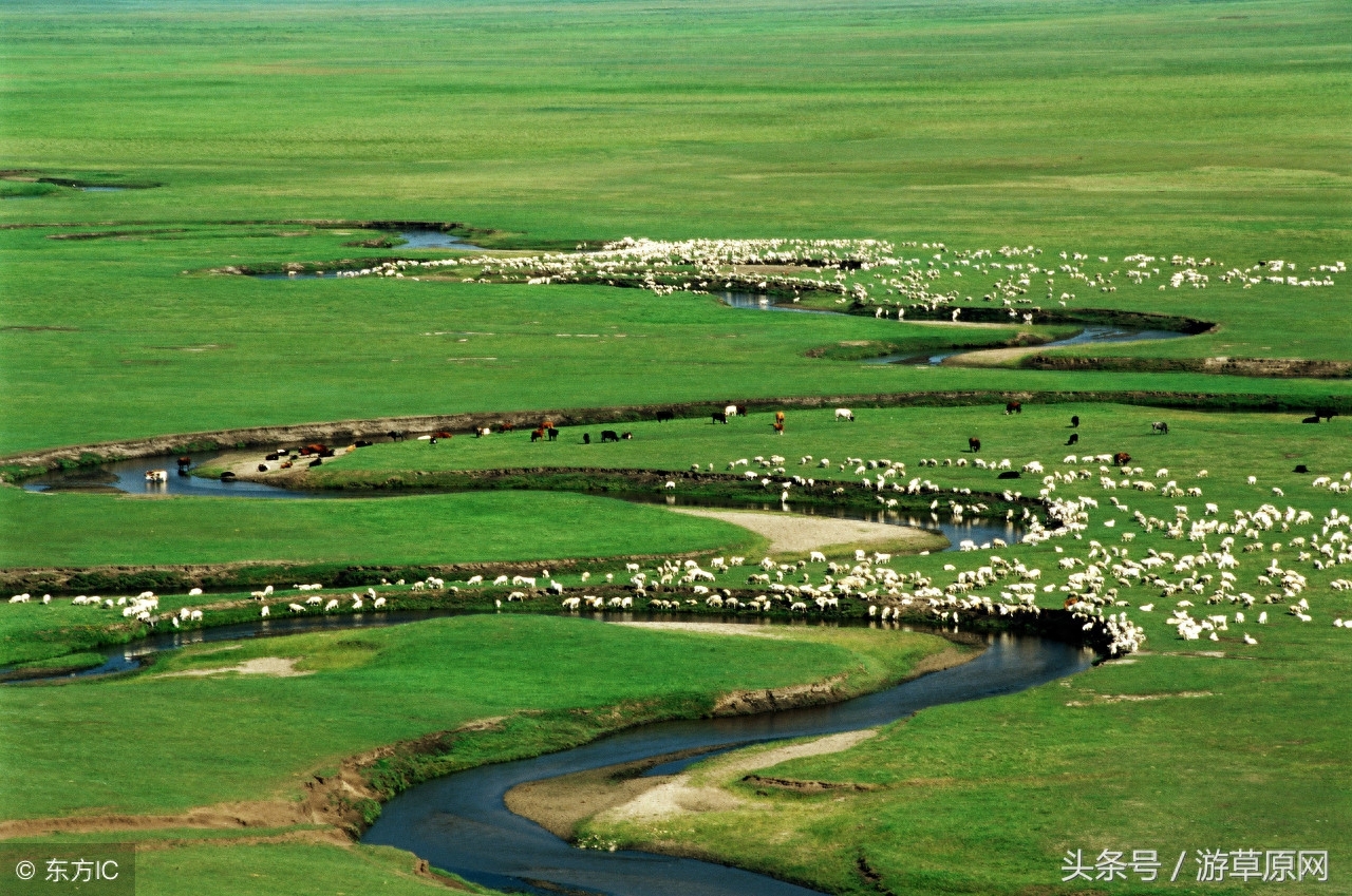 包头到锡林郭勒草原旅游攻略-锡林郭勒大草原离包头多远