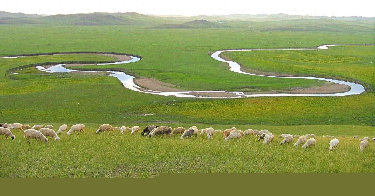 夏天草原避暑哪个好？呼伦贝尔草原 锡林郭勒草原 乌兰布统草原