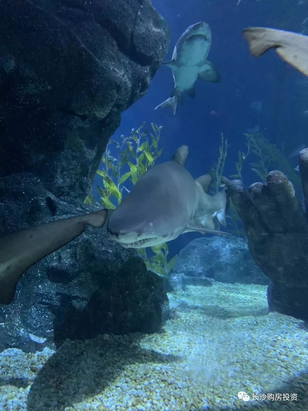 泰国曼谷普吉岛哪个好玩_泰国普吉岛曼谷的生活_曼谷普吉岛旅游攻略