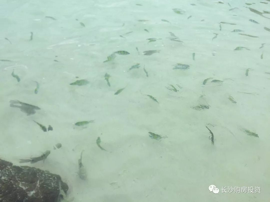 泰国普吉岛曼谷的生活_曼谷普吉岛旅游攻略_泰国曼谷普吉岛哪个好玩