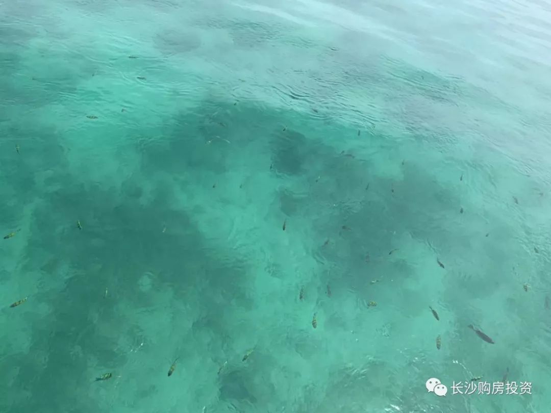 泰国曼谷普吉岛哪个好玩_曼谷普吉岛旅游攻略_泰国普吉岛曼谷的生活