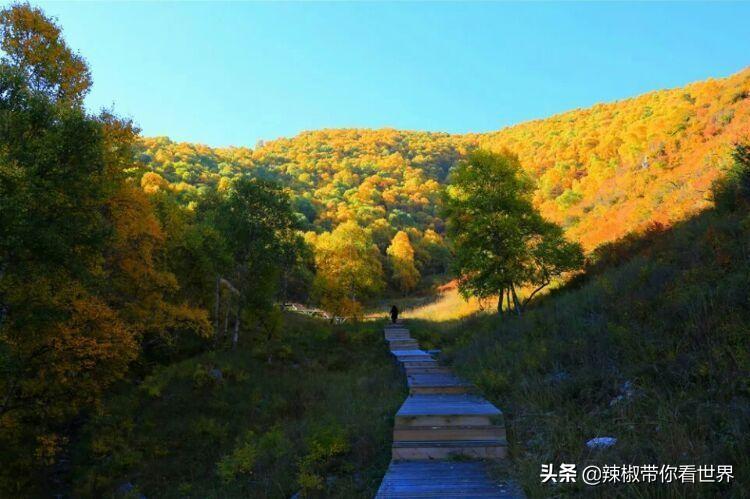 从包头到锡林郭勒开车多长时间_包头到锡林郭勒草原旅游攻略_包头距离锡林郭勒多远