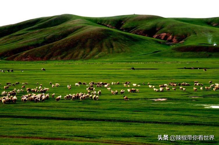 从包头到锡林郭勒开车多长时间_包头到锡林郭勒草原旅游攻略_包头距离锡林郭勒多远