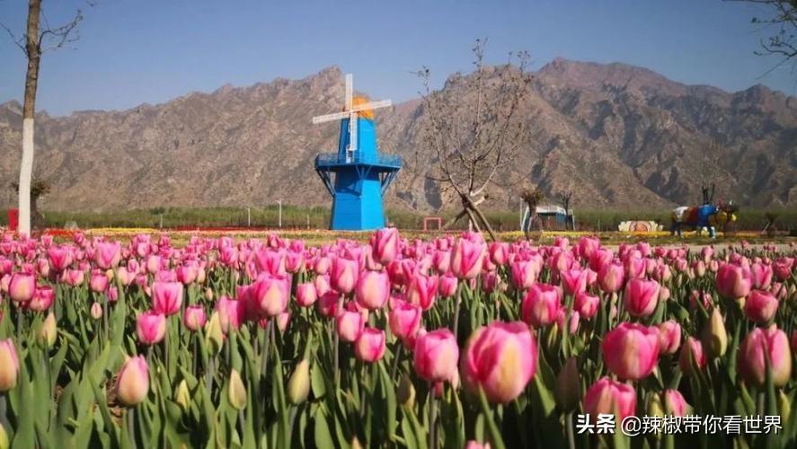 包头距离锡林郭勒多远_从包头到锡林郭勒开车多长时间_包头到锡林郭勒草原旅游攻略