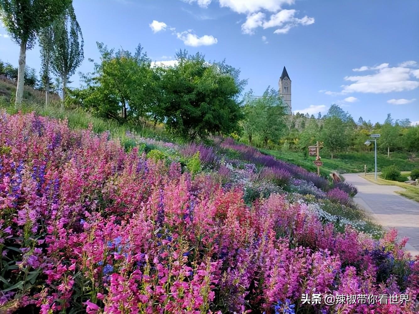 从包头到锡林郭勒开车多长时间_包头到锡林郭勒草原旅游攻略_包头距离锡林郭勒多远