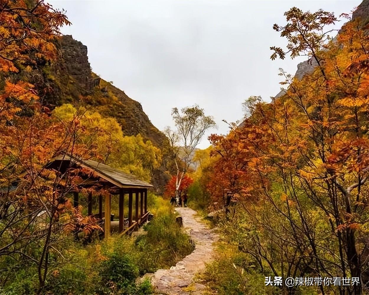 包头距离锡林郭勒多远_包头到锡林郭勒草原旅游攻略_从包头到锡林郭勒开车多长时间