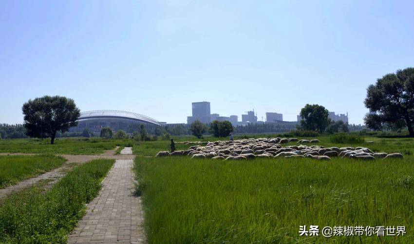 从包头到锡林郭勒开车多长时间_包头距离锡林郭勒多远_包头到锡林郭勒草原旅游攻略