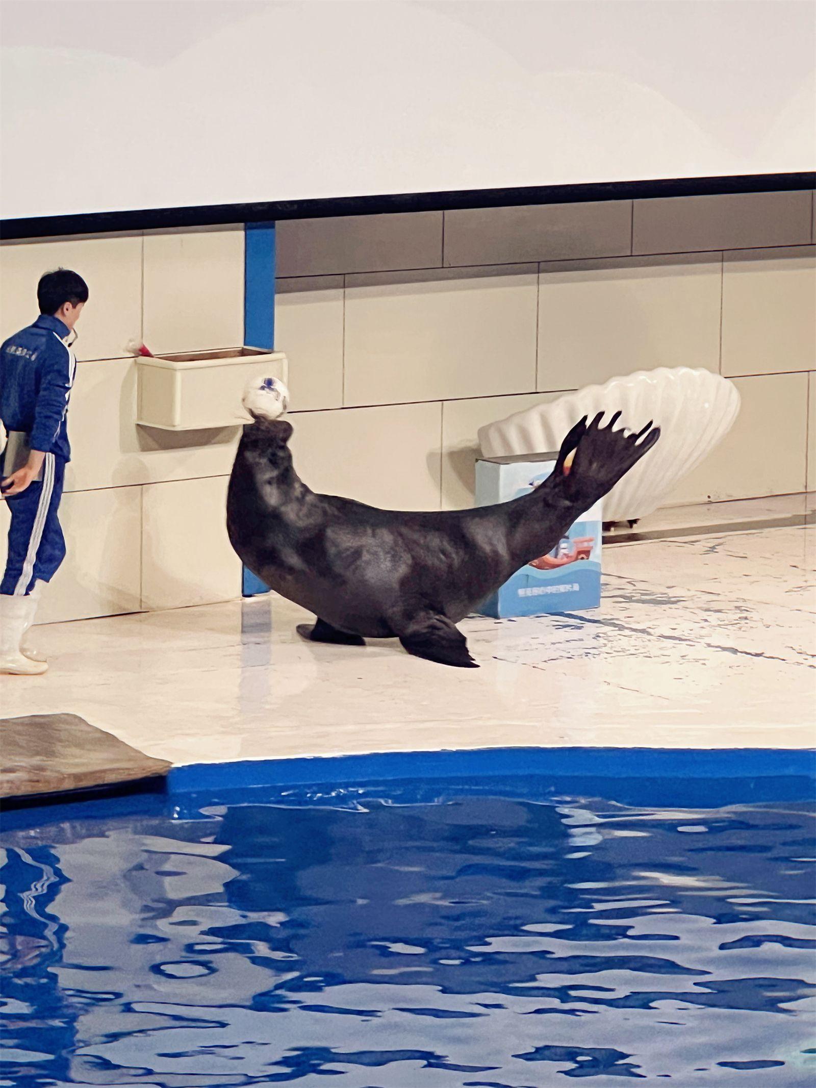 海洋公园旅游攻略-海洋公园(图5) 海洋公园旅游攻略_海洋公园_海洋公园景点