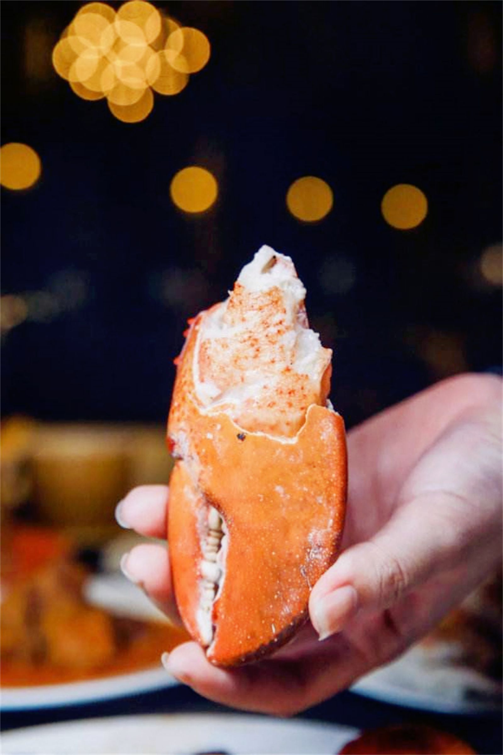 海洋公园旅游攻略-海洋公园(图6) 海洋公园旅游攻略_海洋公园_海洋公园景点