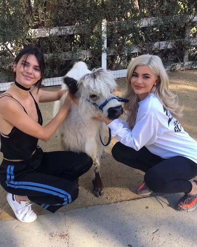 红裤子搭配时尚图片-搭配时尚裤子图片红色大衣(图46) 搭配时尚裤子图片红色_红裤子搭配时尚图片_搭配时尚裤子图片红色大衣