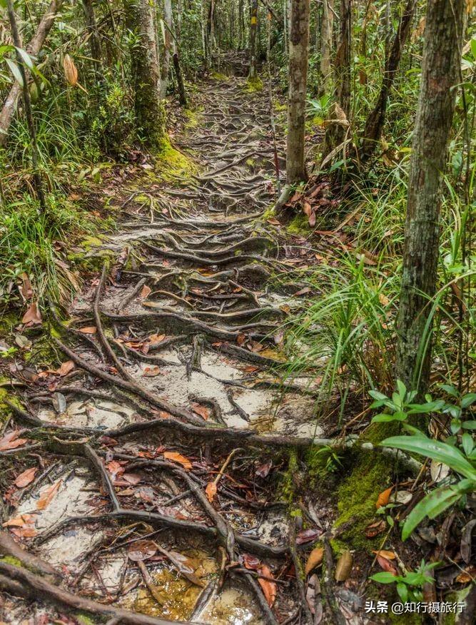 海南博鳌旅游攻略-海南博鳌旅游攻略必去景点(图23) 海南博鳌旅游攻略_海南博鳌游玩攻略_海南博鳌旅游攻略必去景点
