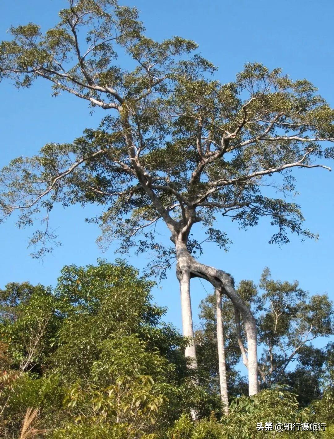 海南博鳌旅游攻略-海南博鳌旅游攻略必去景点(图24) 海南博鳌旅游攻略必去景点_海南博鳌游玩攻略_海南博鳌旅游攻略