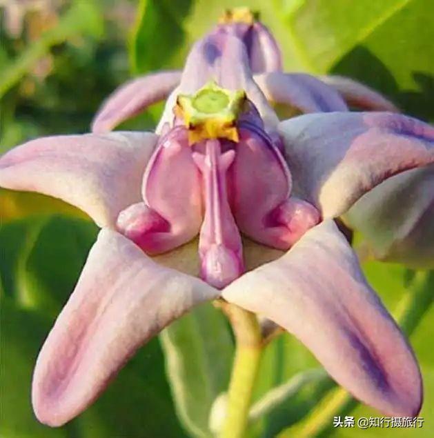 海南博鳌旅游攻略-海南博鳌旅游攻略必去景点(图10) 海南博鳌游玩攻略_海南博鳌旅游攻略必去景点_海南博鳌旅游攻略