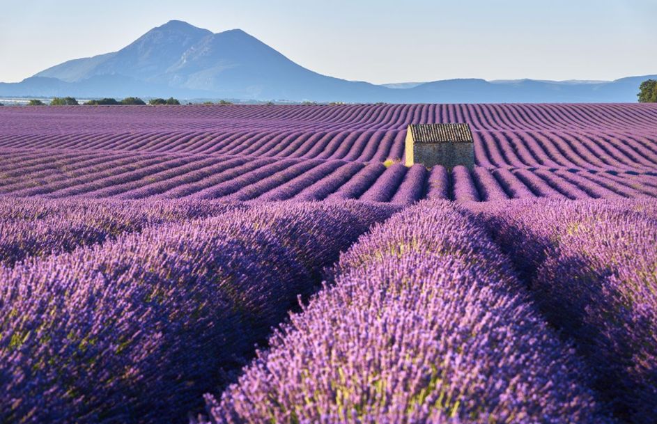 索伦托旅游攻略-索伦拖医疗(图7) 索伦旅游景点_索伦拖医疗_索伦托旅游攻略