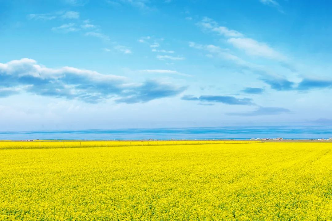 2024青海湖旅游攻略-青海湖旅游线路精选(图15) 青海湖旅游攻略路线4天_青海湖旅游线路精选_2024青海湖旅游攻略