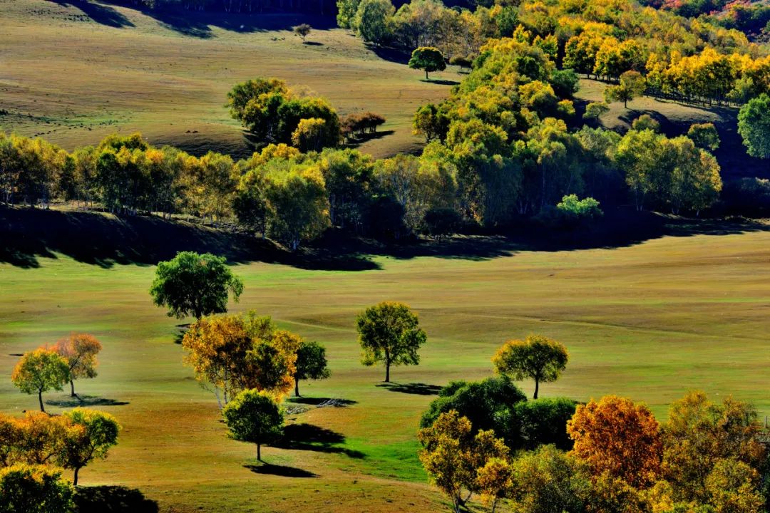 2024青海湖旅游攻略-青海湖旅游线路精选(图17) 2024青海湖旅游攻略_青海湖旅游线路精选_青海湖旅游攻略路线4天