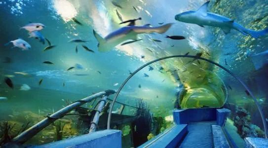 西安太平森林公园旅游攻略-太平森林攻略西安公园旅游(图19) 西安太平森林公园旅游攻略_西安太平森林公园怎么样_太平森林攻略西安公园旅游