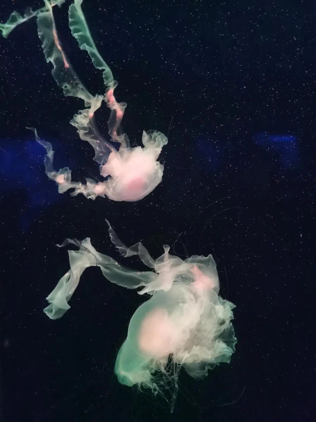 西安太平森林公园旅游攻略-太平森林攻略西安公园旅游(图20) 西安太平森林公园怎么样_太平森林攻略西安公园旅游_西安太平森林公园旅游攻略