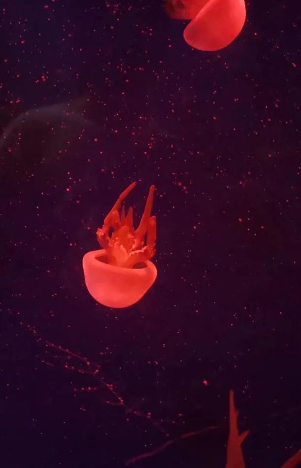 西安太平森林公园旅游攻略-太平森林攻略西安公园旅游(图21) 西安太平森林公园旅游攻略_太平森林攻略西安公园旅游_西安太平森林公园怎么样