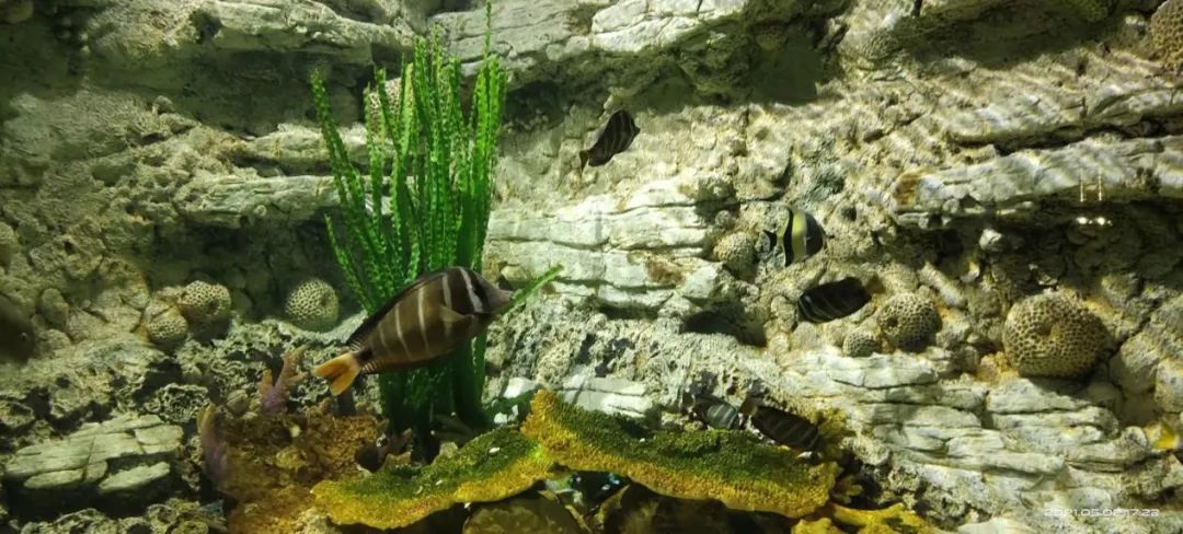 西安太平森林公园旅游攻略-太平森林攻略西安公园旅游(图22) 西安太平森林公园怎么样_太平森林攻略西安公园旅游_西安太平森林公园旅游攻略