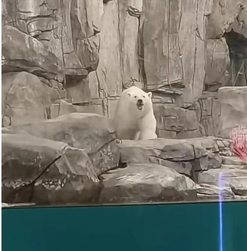 西安太平森林公园旅游攻略-太平森林攻略西安公园旅游(图23) 西安太平森林公园怎么样_西安太平森林公园旅游攻略_太平森林攻略西安公园旅游