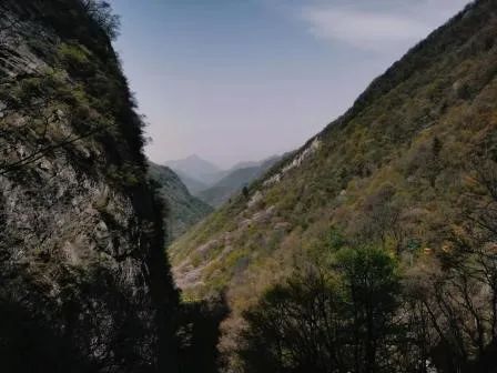 西安太平森林公园旅游攻略-太平森林攻略西安公园旅游(图24) 西安太平森林公园怎么样_西安太平森林公园旅游攻略_太平森林攻略西安公园旅游