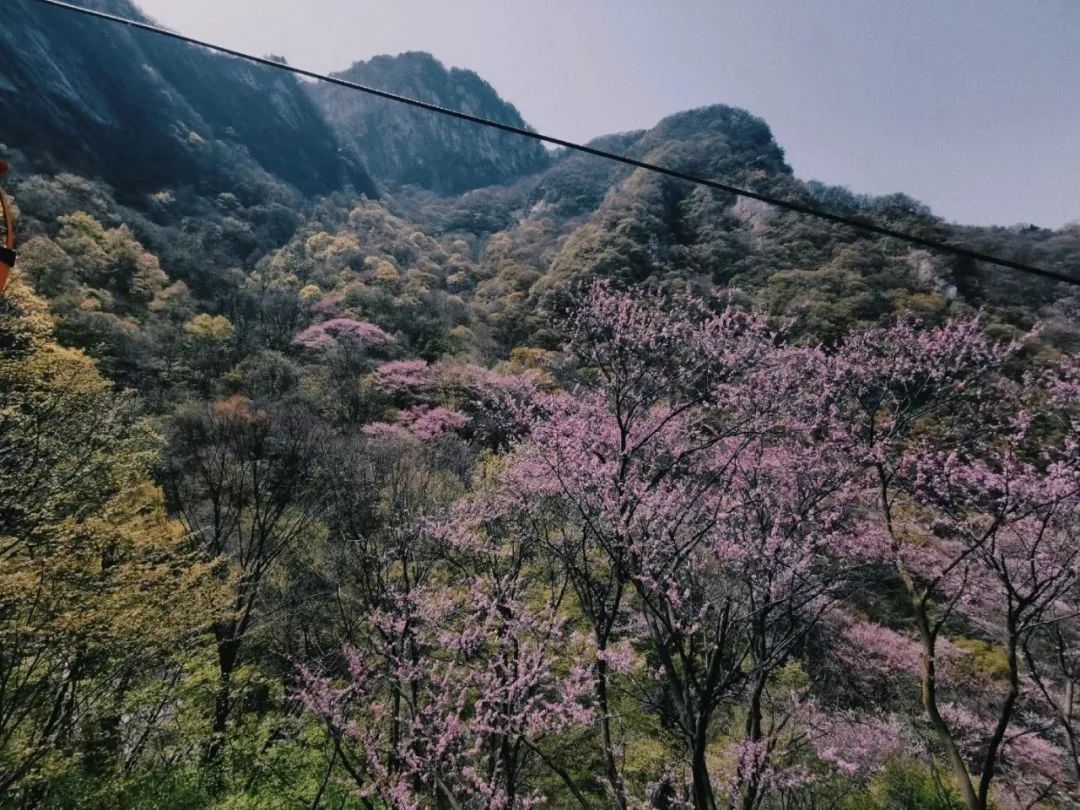 西安太平森林公园旅游攻略-太平森林攻略西安公园旅游(图26) 西安太平森林公园旅游攻略_太平森林攻略西安公园旅游_西安太平森林公园怎么样